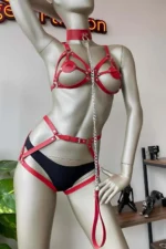 Stylish harness set with red leather collar detail.