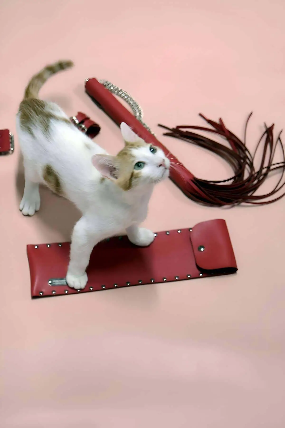 Whip - Handcuff Set, Whip Kit, Fantasy Handcuff Set - SH1304