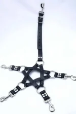 Men's Fantasy Leather Harness Set - SHM86 - Image 4